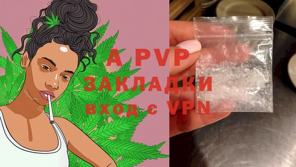 мяу мяу мука Верея