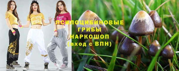 дурь Верхний Тагил