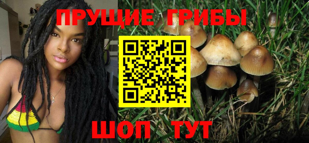 Воркута  Псилоцибиновые грибы ЛСД  Вход с VPN 